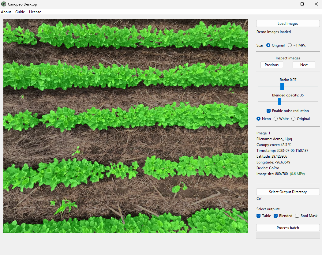 Canopeo Desktop application showing canopy cover analysis of a soybean field